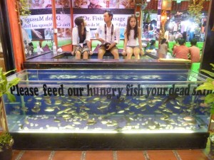 Kalapedikyyrit ovat suosittuja Siem Reapissa. Altaiden kalat ovat paljon isompia kuin Maltan kalapedikyyrien!