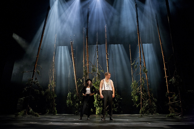 21464669180_4e2bb6642f_z