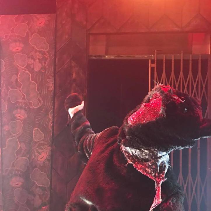 Kissa Tango Alakulossa