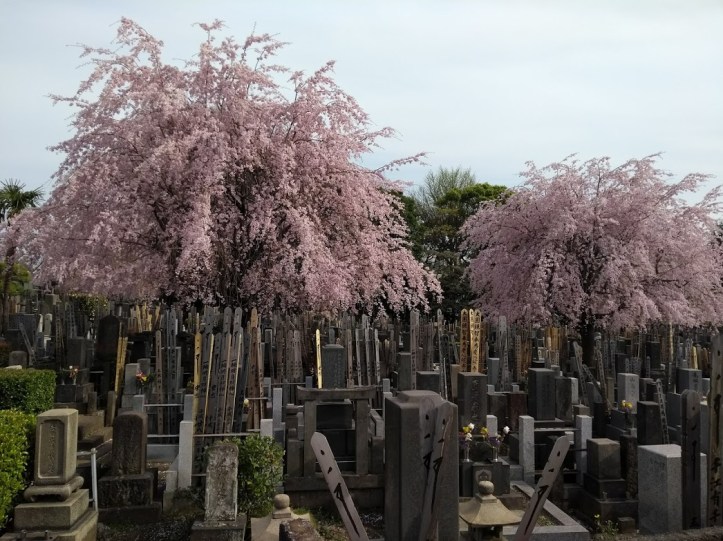 IMG_20180401_151859313