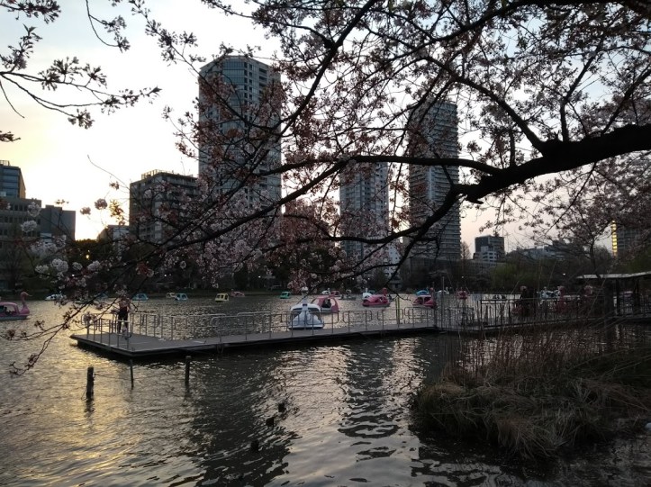 IMG_20180401_173859569