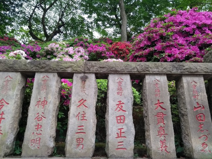 IMG_20180424_132427450