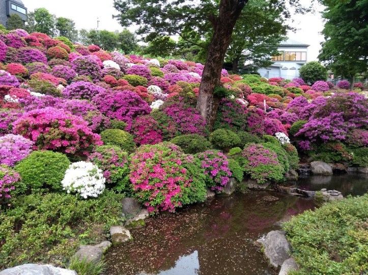 IMG_20180424_133437635