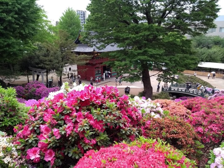 IMG_20180424_140508273