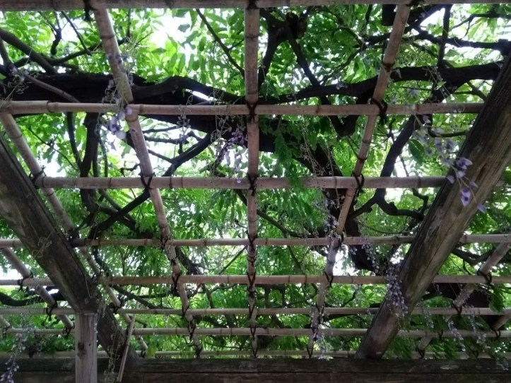 Sinisade heti puiston alussa olevalla eväsalueella. 