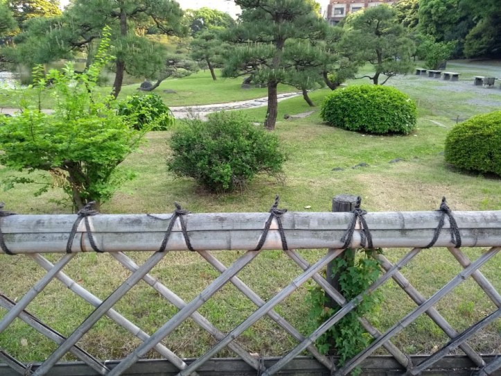 IMG_20180428_173009639