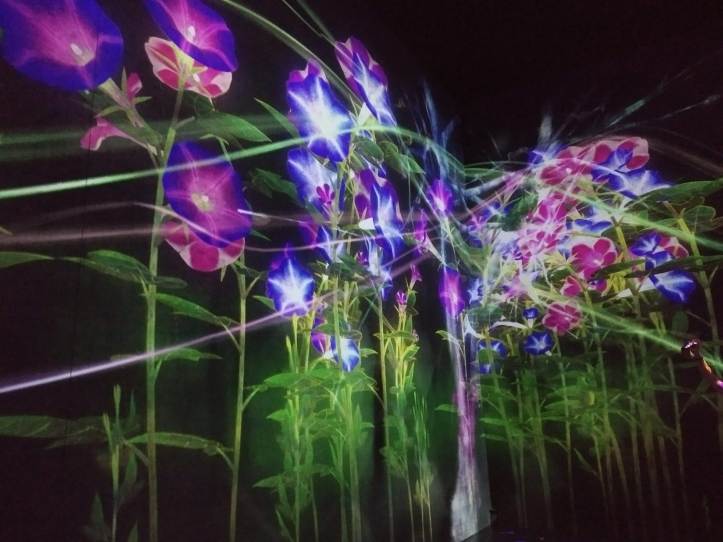 IMG_20180717_145452704_LL