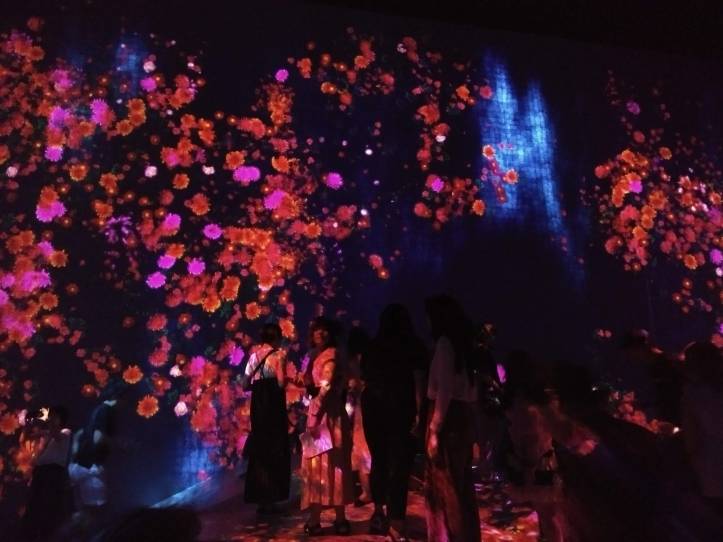 IMG_20180717_145828206_LL