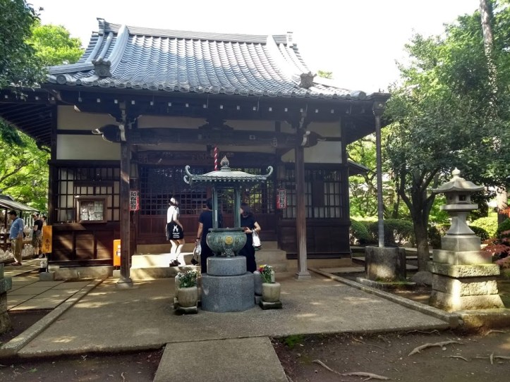 IMG_20180729_150805255_HDR