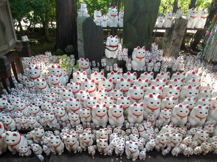 IMG_20180729_150928237