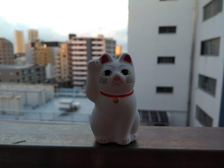 Tämä kisu lähti mukaani.