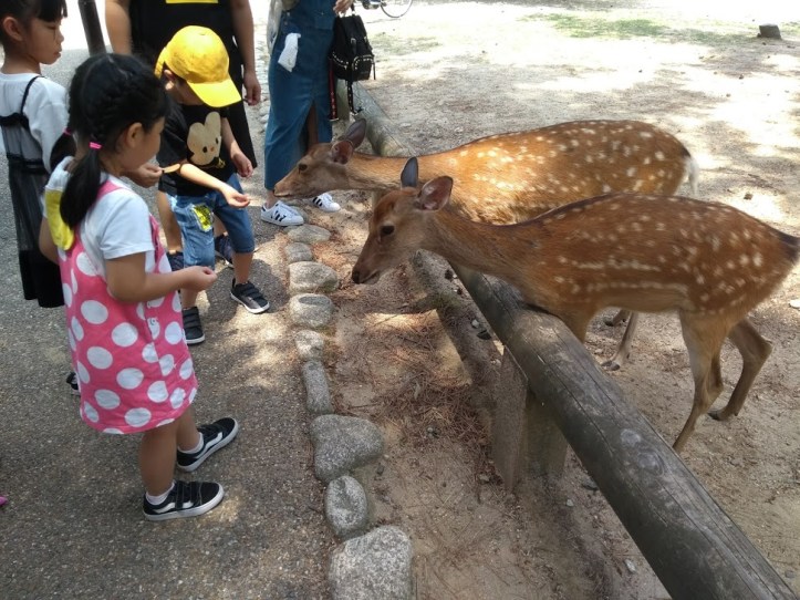 IMG_20180803_122801084