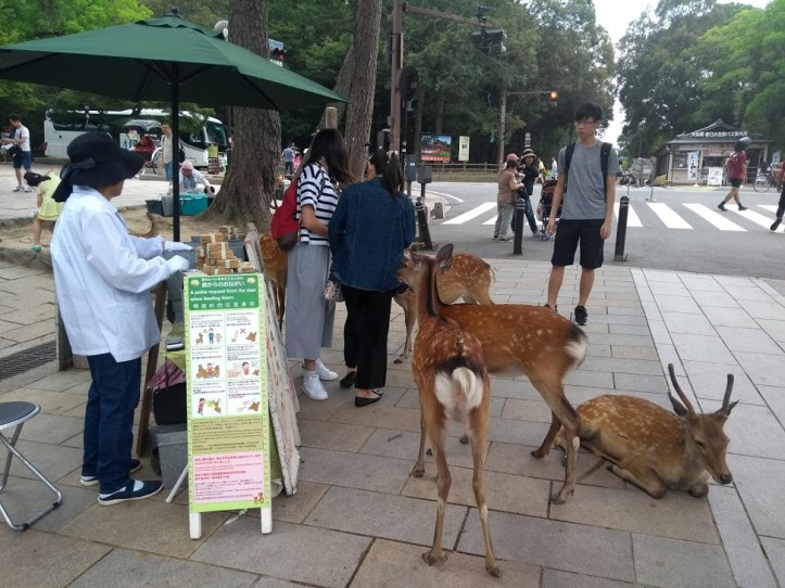 IMG_20180803_125746147