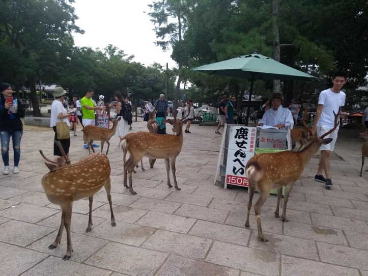 IMG_20180803_130233233