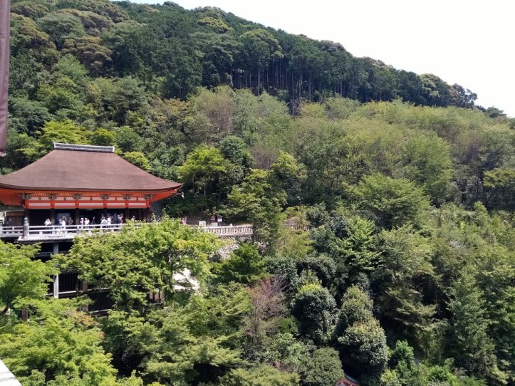 IMG_20180804_125736153