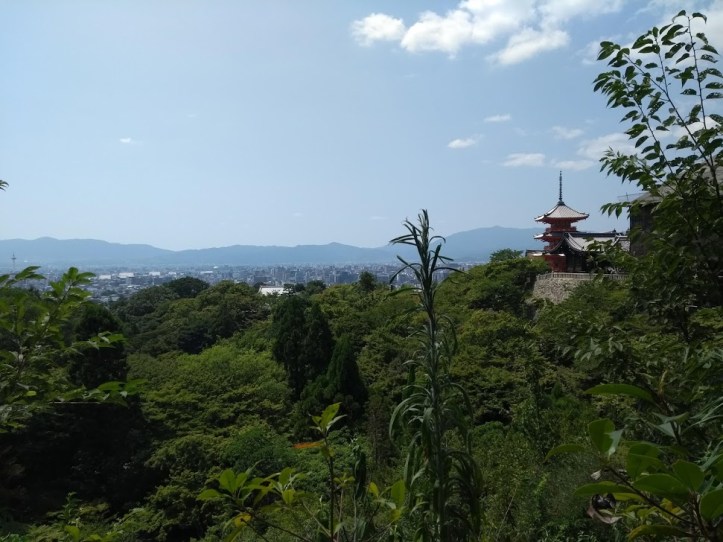 IMG_20180804_132511260