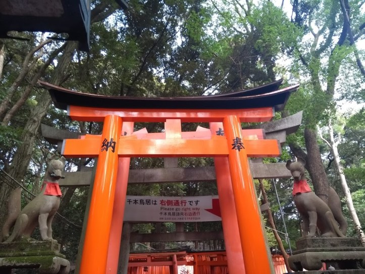 IMG_20180804_152414130