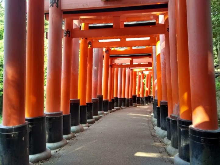 IMG_20180804_153709164_HDR