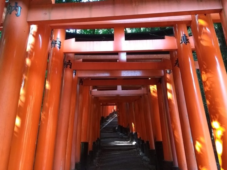 IMG_20180804_155132847