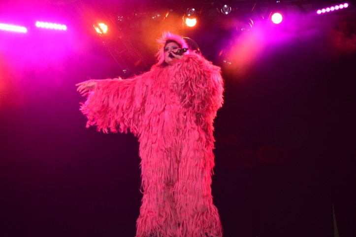 Querellen pääesiintyjä oli kanadalainen Peaches. Kuva: Elisa Helenius