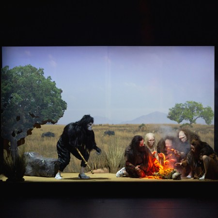 Kuva: Katri Naukkarinen