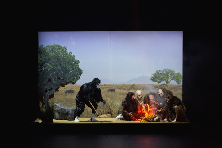 Kuva: Katri Naukkarinen