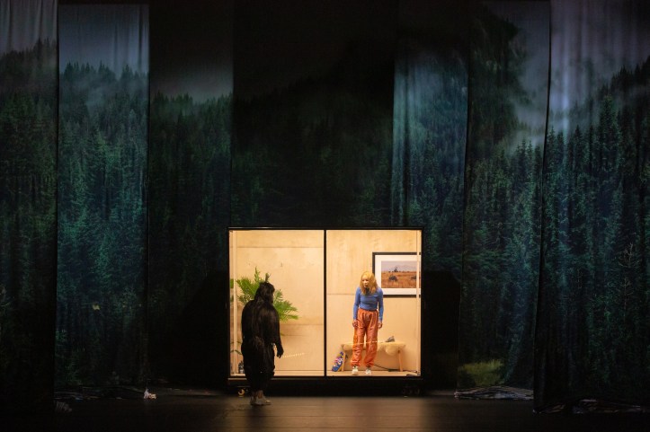 Kuva: Katri Naukkarinen