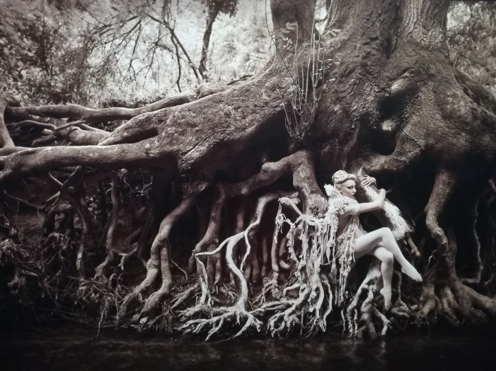 IMG_20191002_140243_resized_20191006_034527651