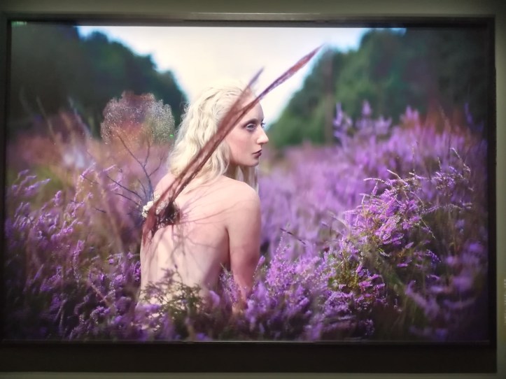 IMG_20191002_142906_resized_20191006_034529376