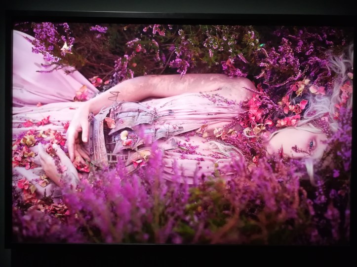 IMG_20191002_142943_resized_20191006_034530563 (1)