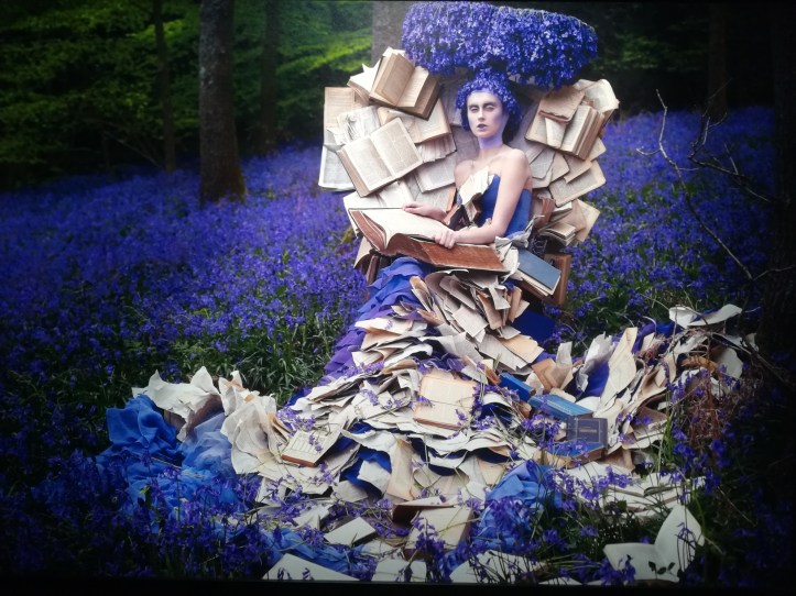 IMG_20191002_143137_resized_20191006_034532407